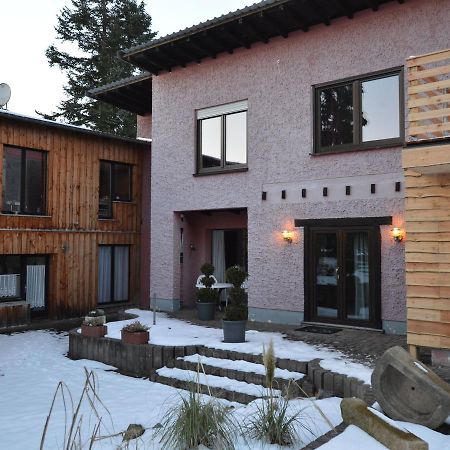 Apartment In The District Of Manderscheid Exterior photo